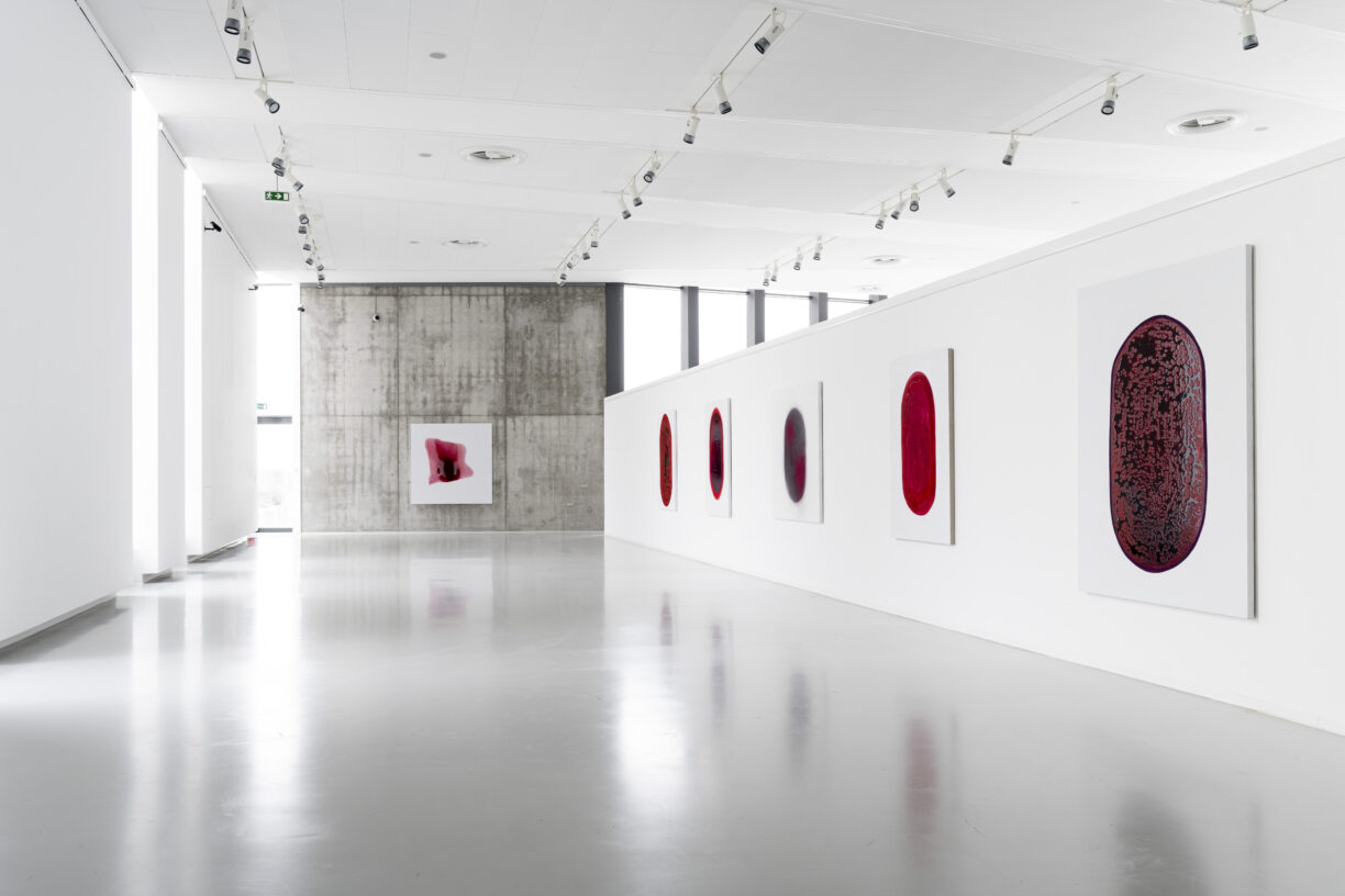 Kami Mierzvvinsk „from Blood”, Gallery Zoya, Modra, Slovakia; photos: Adam Šakový, 2025